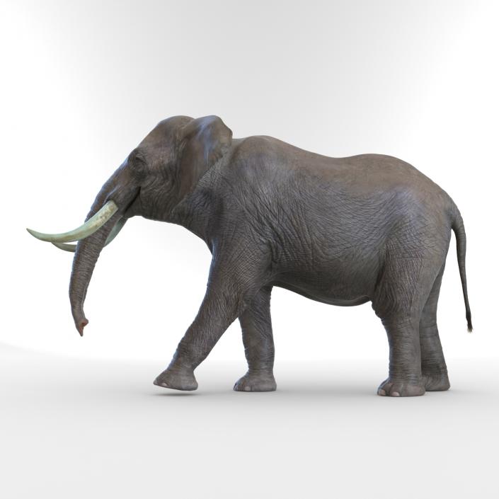 3D Elephant Walking Pose