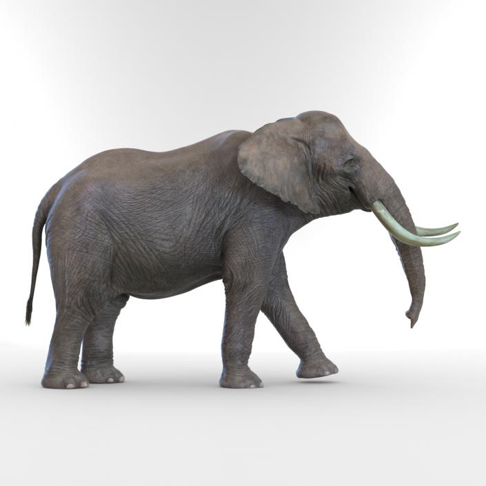 3D Elephant Walking Pose