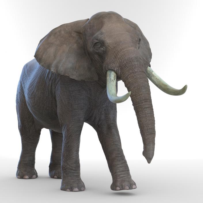 3D Elephant Walking Pose