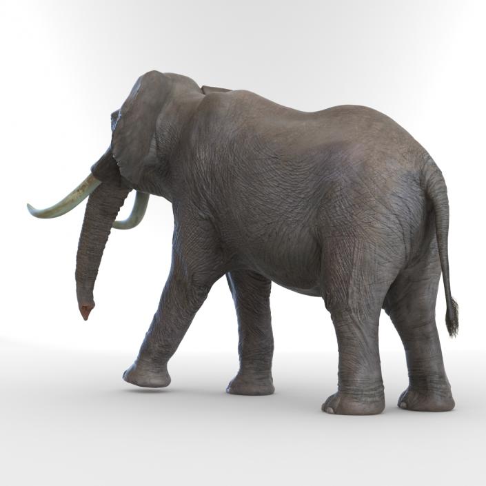 3D Elephant Walking Pose