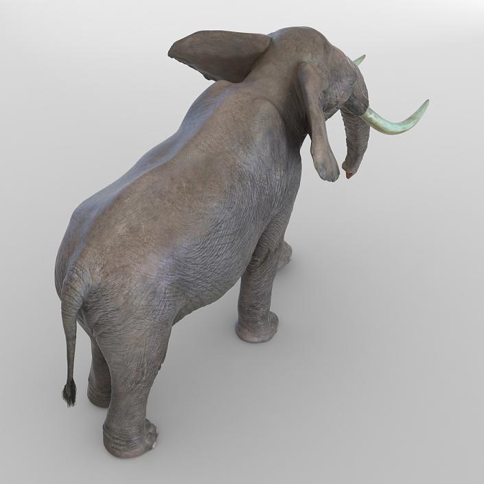 3D Elephant Walking Pose