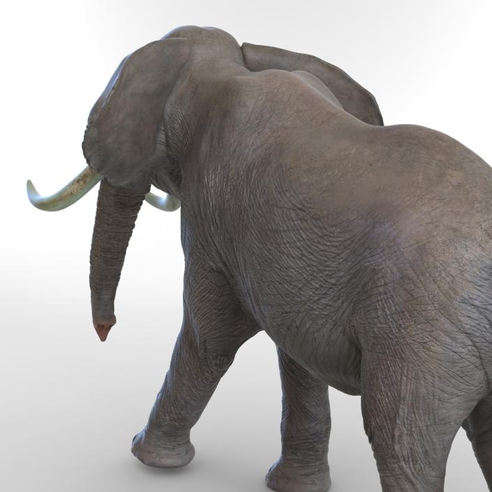 3D Elephant Walking Pose