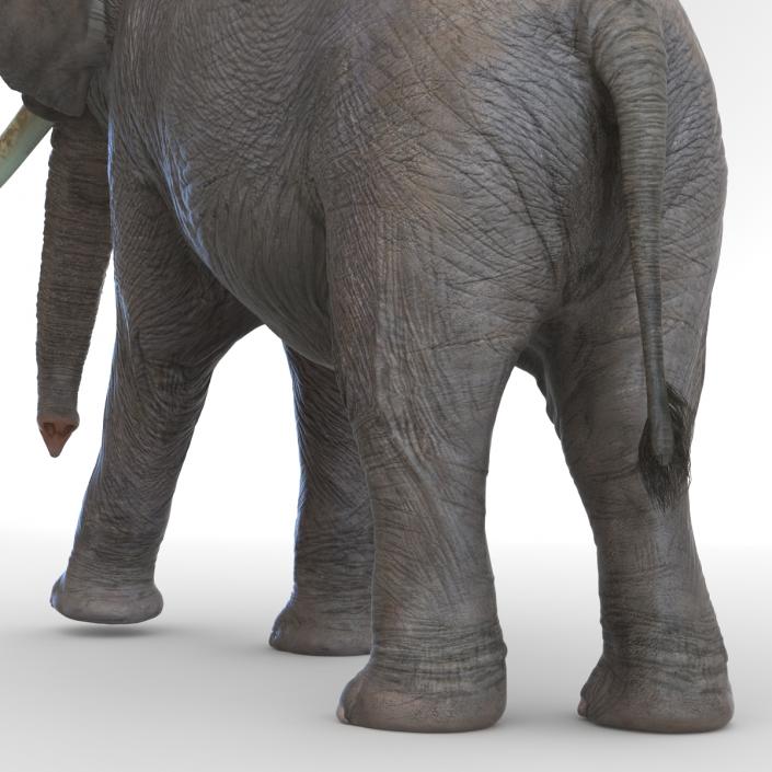 3D Elephant Walking Pose