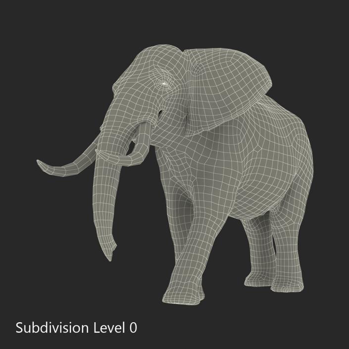 3D Elephant Walking Pose