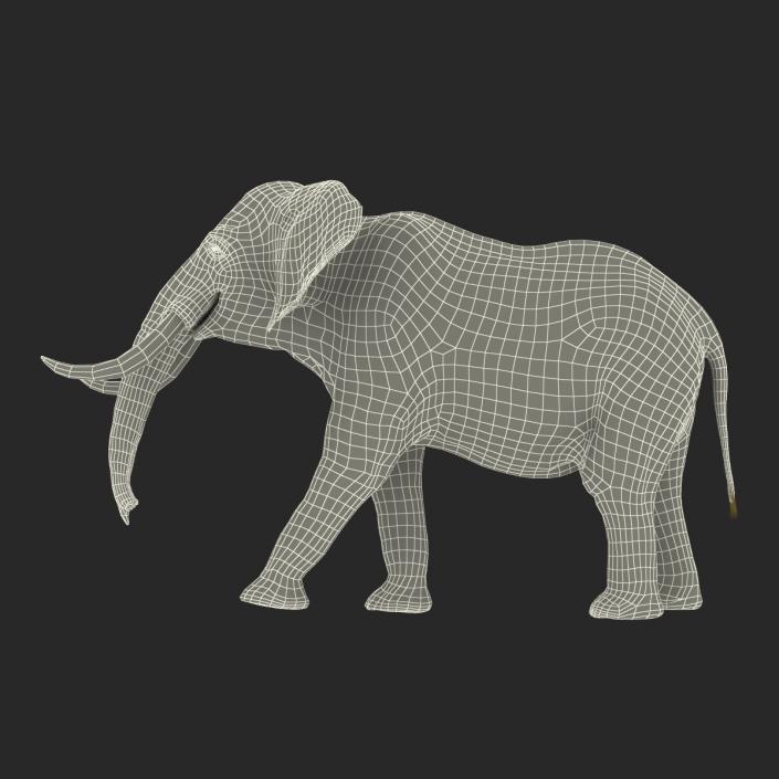 3D Elephant Walking Pose