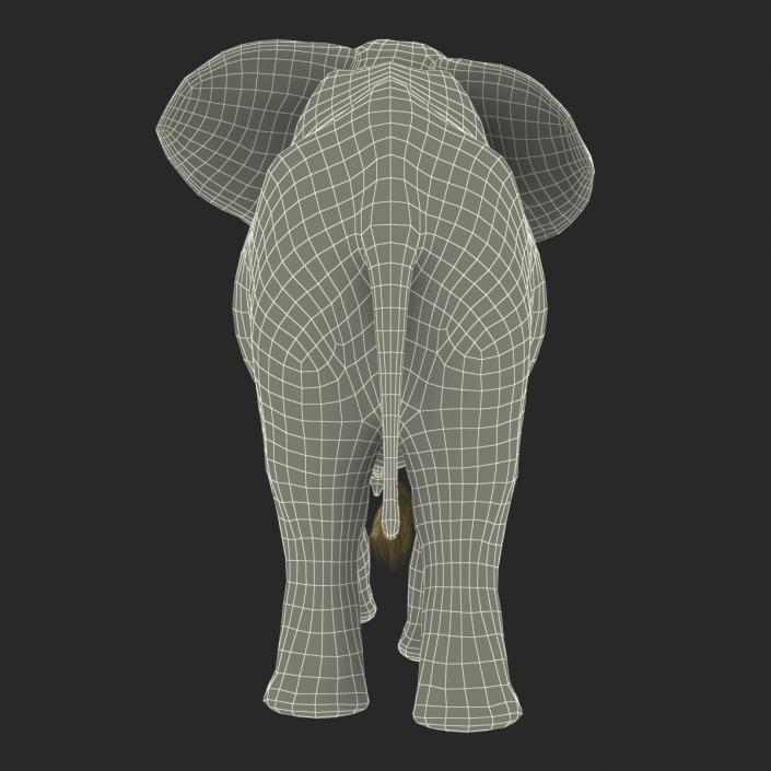 3D Elephant Walking Pose