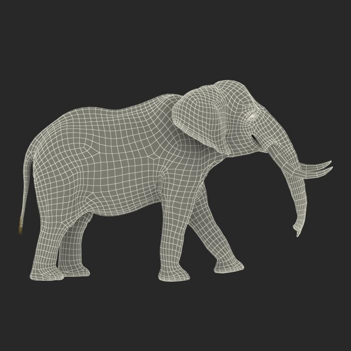 3D Elephant Walking Pose