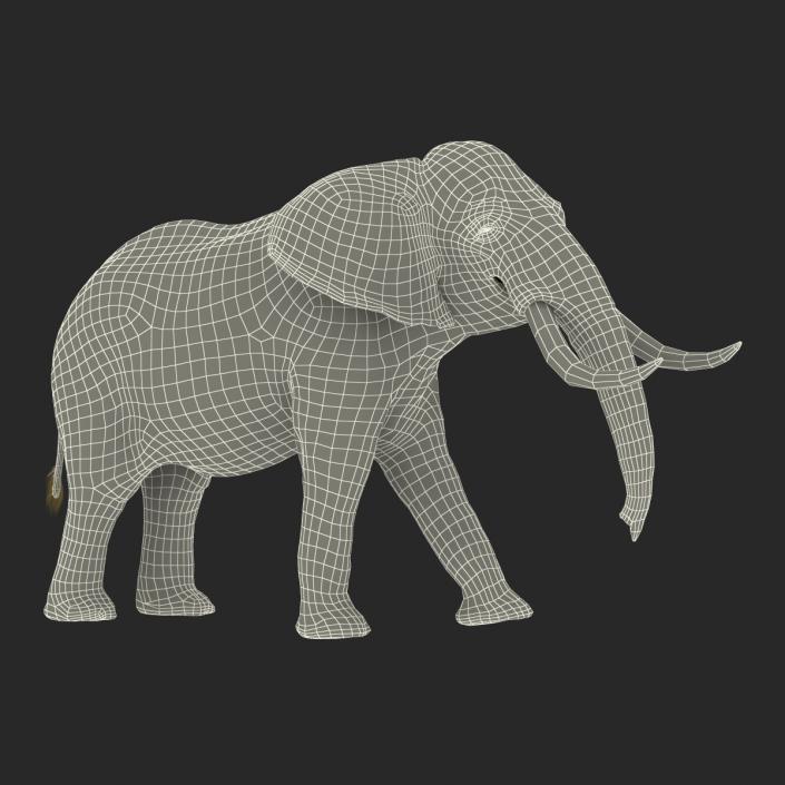 3D Elephant Walking Pose