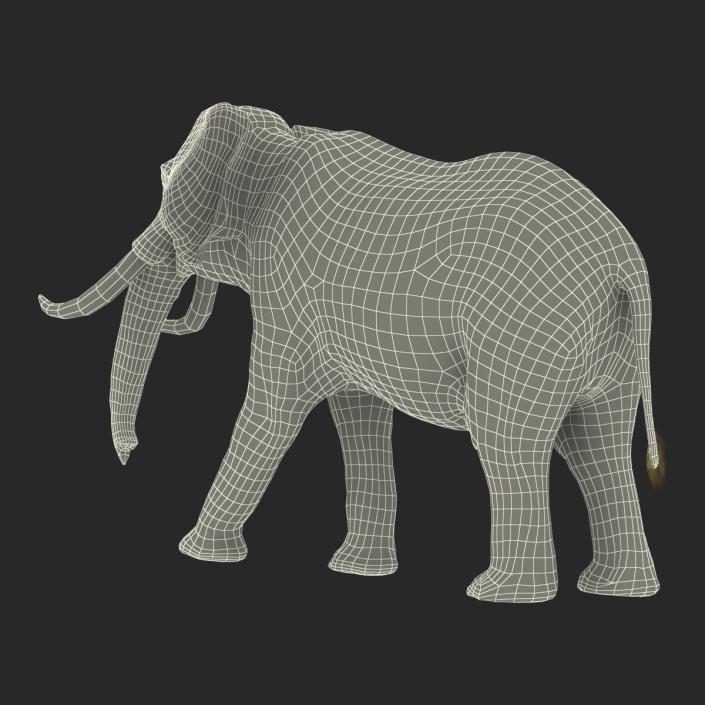 3D Elephant Walking Pose