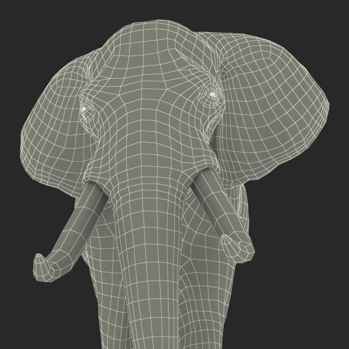 3D Elephant Walking Pose