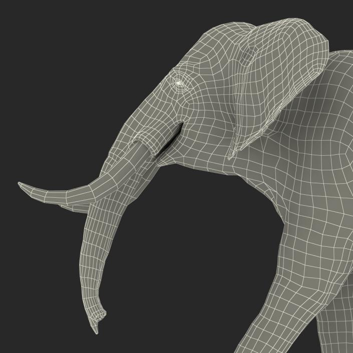 3D Elephant Walking Pose