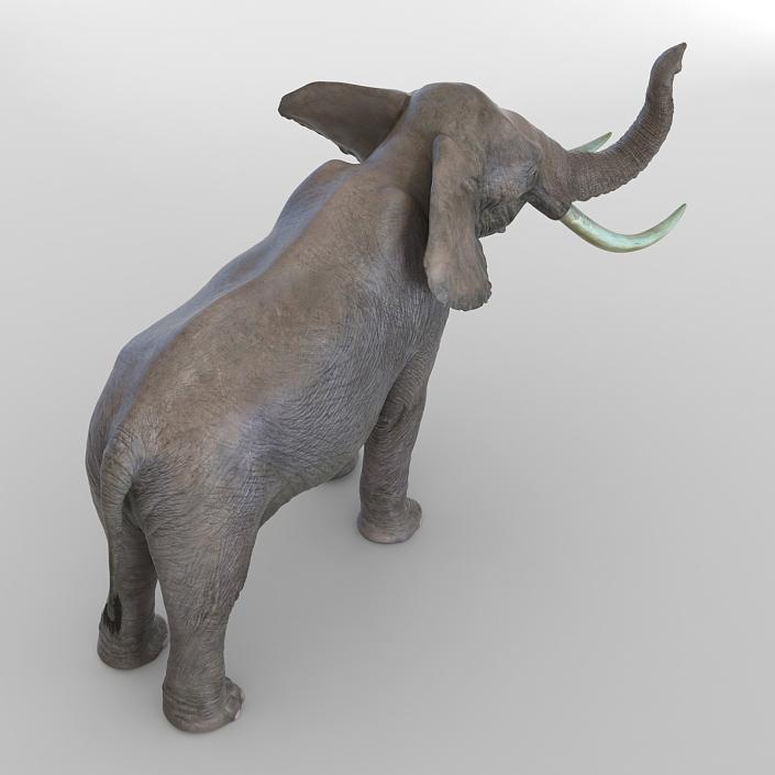 3D model Elephant Pose 3