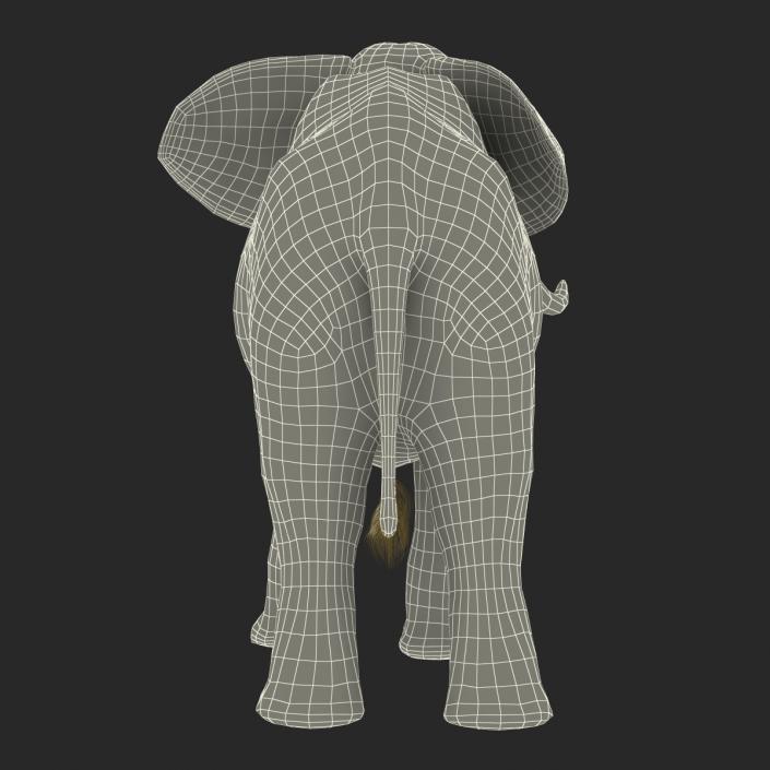 3D model Elephant Pose 3