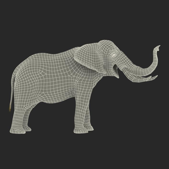 3D model Elephant Pose 3