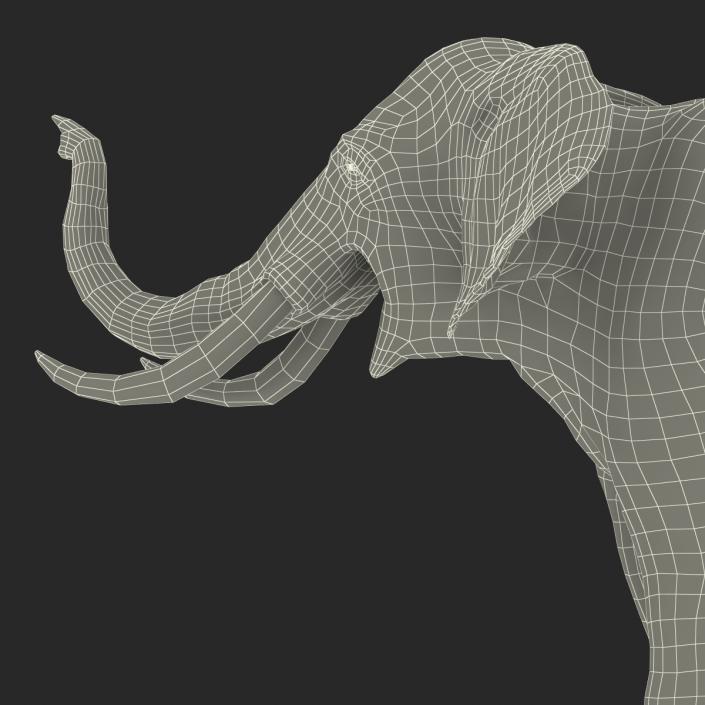 3D model Elephant Pose 3