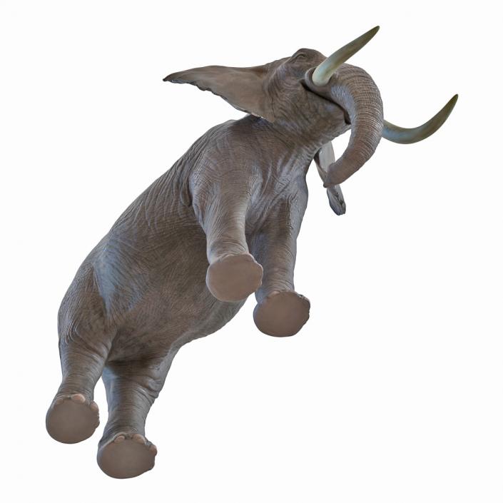 3D model Elephant Rigged