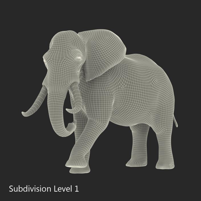 3D model Elephant Rigged