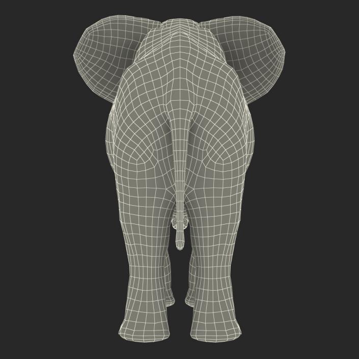 3D model Elephant Rigged