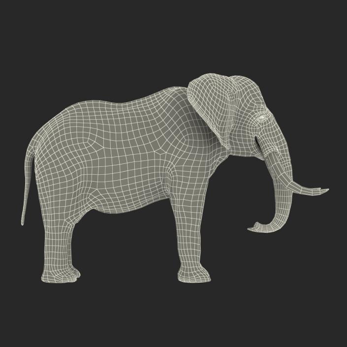 3D model Elephant Rigged