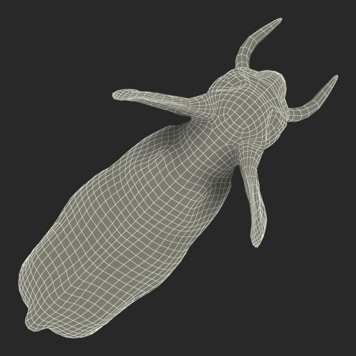 3D model Elephant Rigged