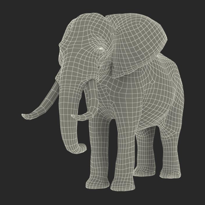 3D model Elephant Rigged