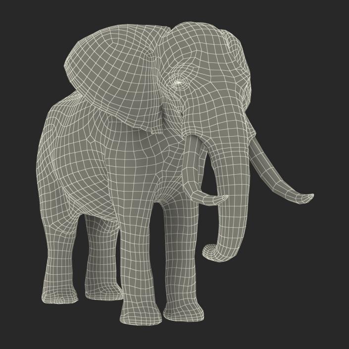 3D model Elephant Rigged