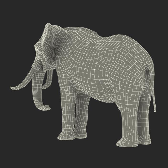 3D model Elephant Rigged