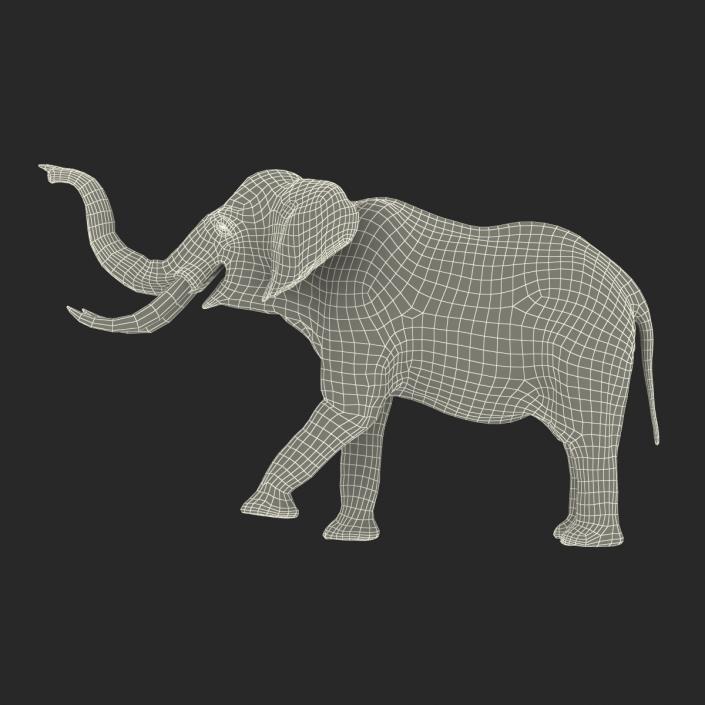 3D model Elephant Rigged