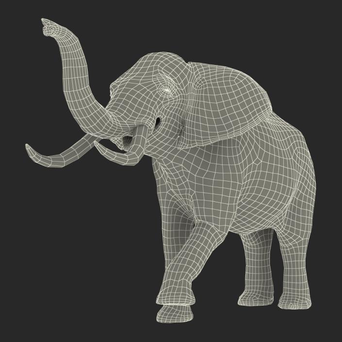 3D model Elephant Rigged