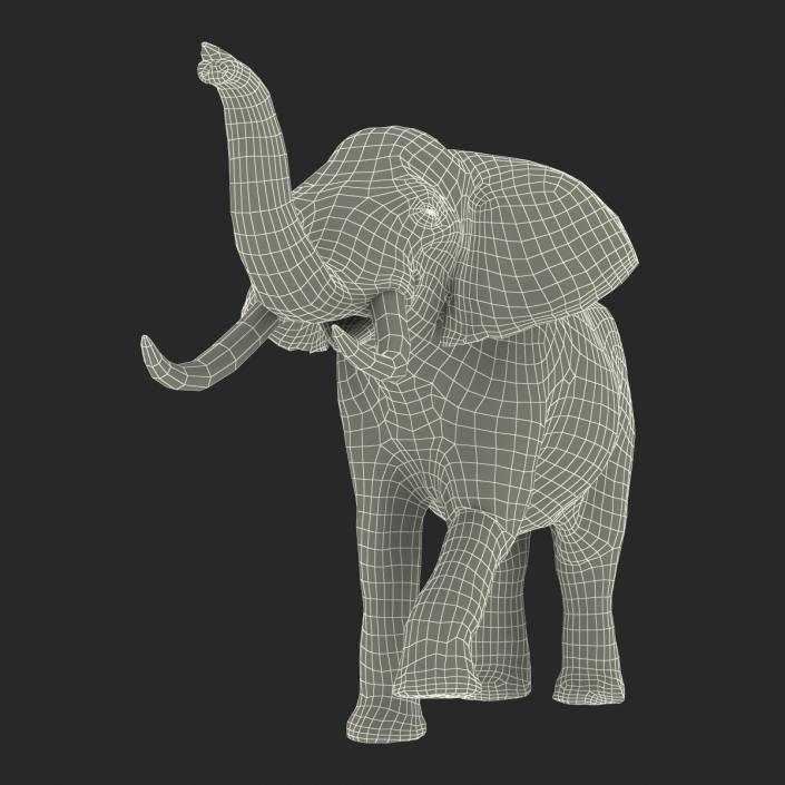 3D model Elephant Rigged