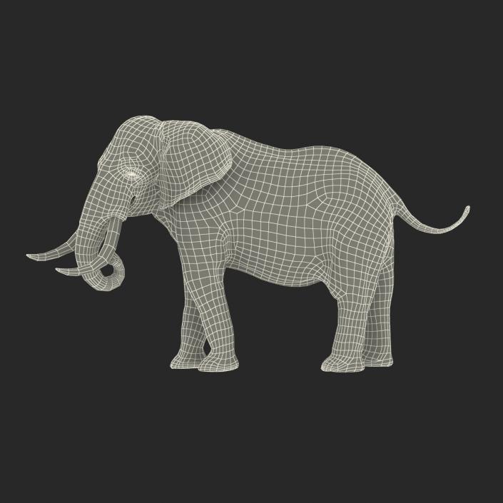 3D model Elephant Rigged