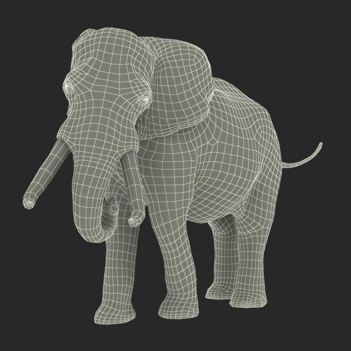 3D model Elephant Rigged