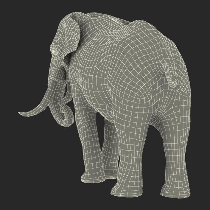 3D model Elephant Rigged