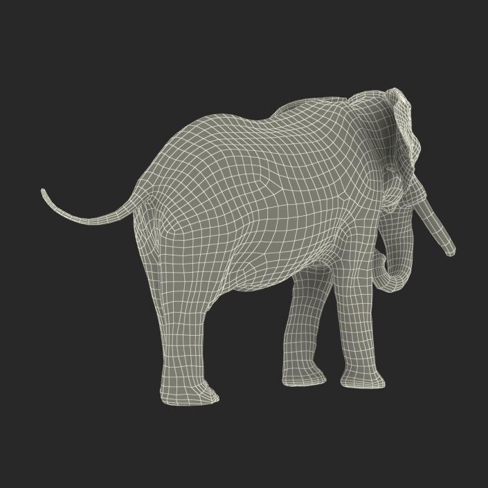 3D model Elephant Rigged