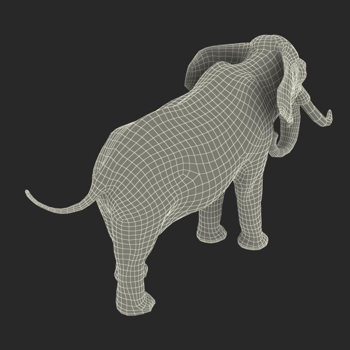 3D model Elephant Rigged