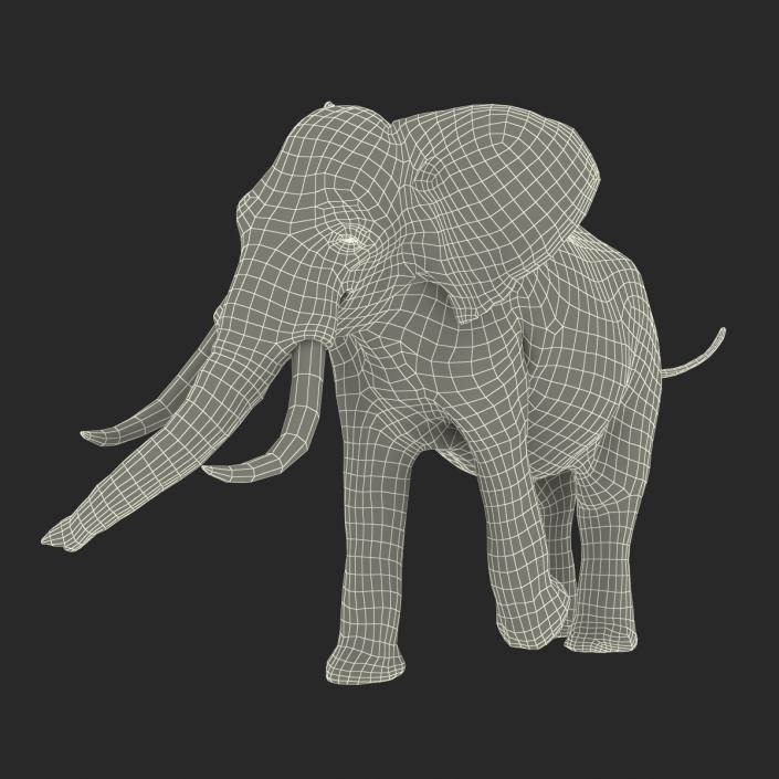 3D model Elephant Rigged