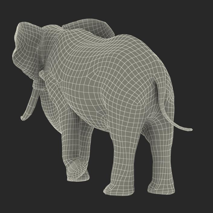 3D model Elephant Rigged