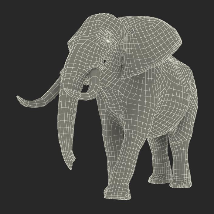 3D model Elephant Rigged