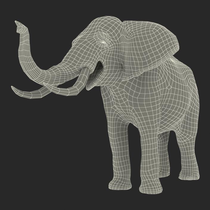 3D model Elephant Rigged