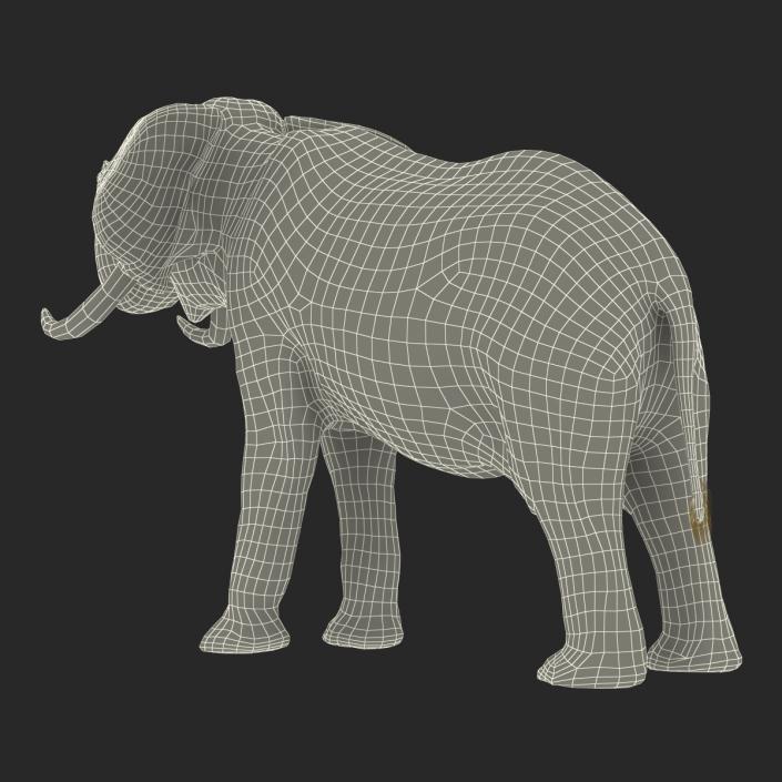 3D model Elephant Rigged