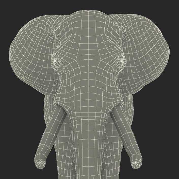 3D model Elephant Rigged