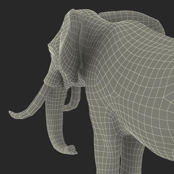 3D model Elephant Rigged