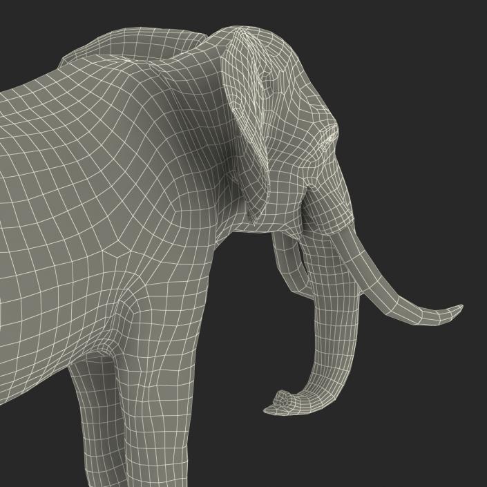 3D model Elephant Rigged