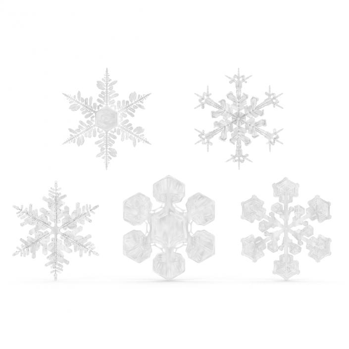 3D Snowflakes Collection