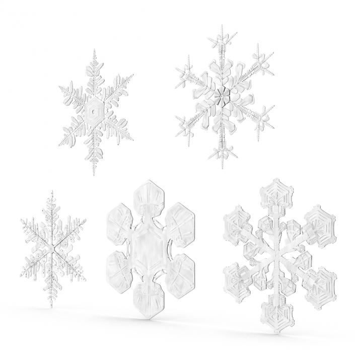 3D Snowflakes Collection