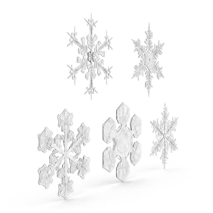 3D Snowflakes Collection