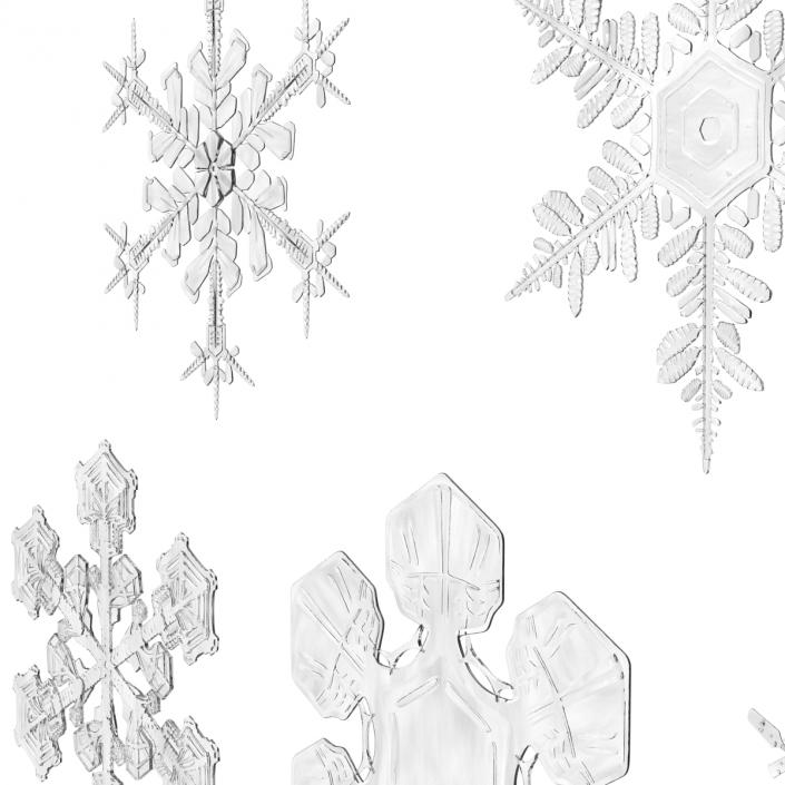 3D Snowflakes Collection