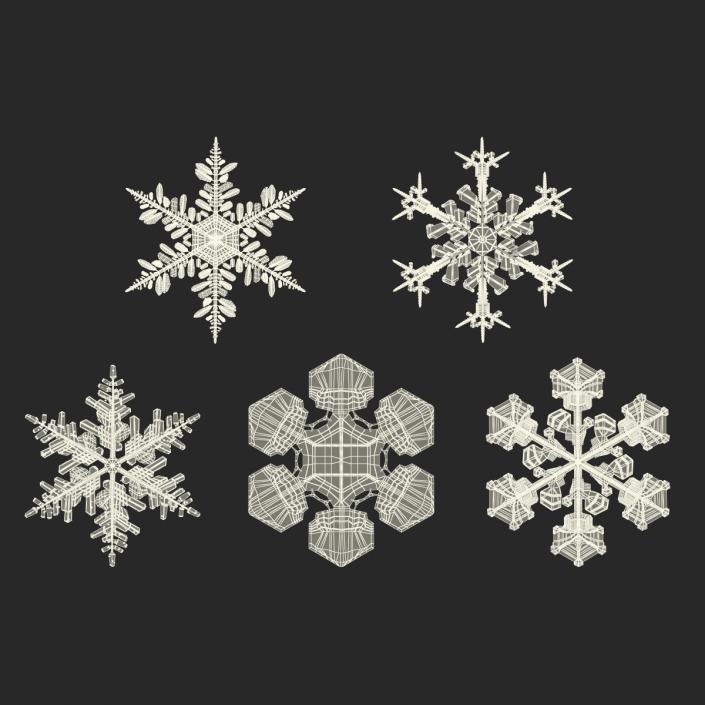 3D Snowflakes Collection