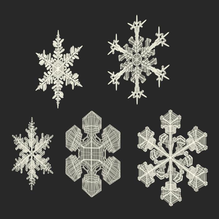 3D Snowflakes Collection