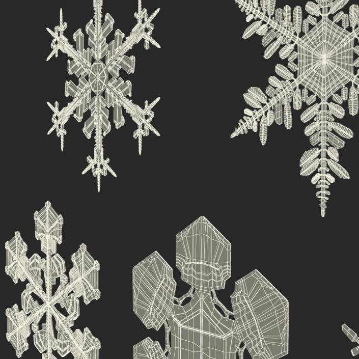 3D Snowflakes Collection